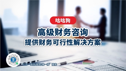 高級財務(wù)咨詢